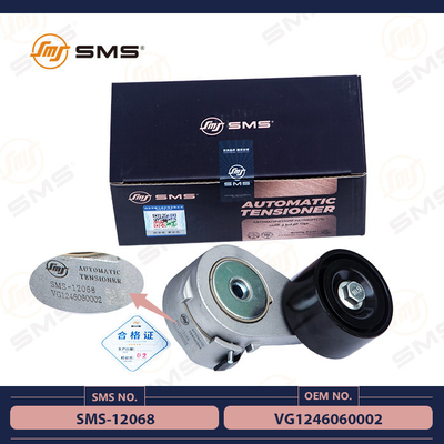 شراء VG1246060002 الموتر الأوتوماتيكي Assy Sinotruk Howo Engine Parts SMS-12068 التصنيع عبر الإنترنت