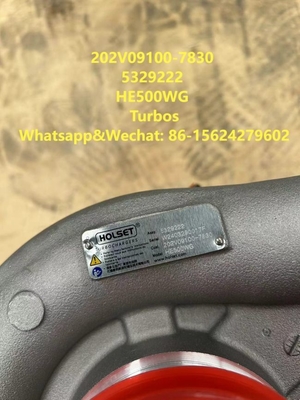 الاسم